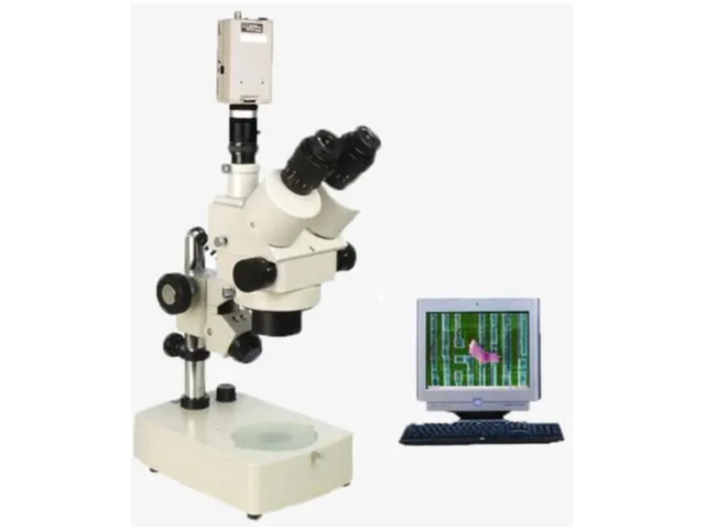 长春什么公司电子显微镜推荐,电子显微镜
