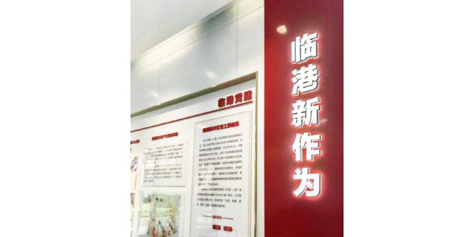 徐州公司想在临港新片区注册公司