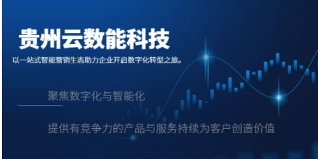 黔东南一站式网络推广平台 欢迎来电 贵州云数能科技供应