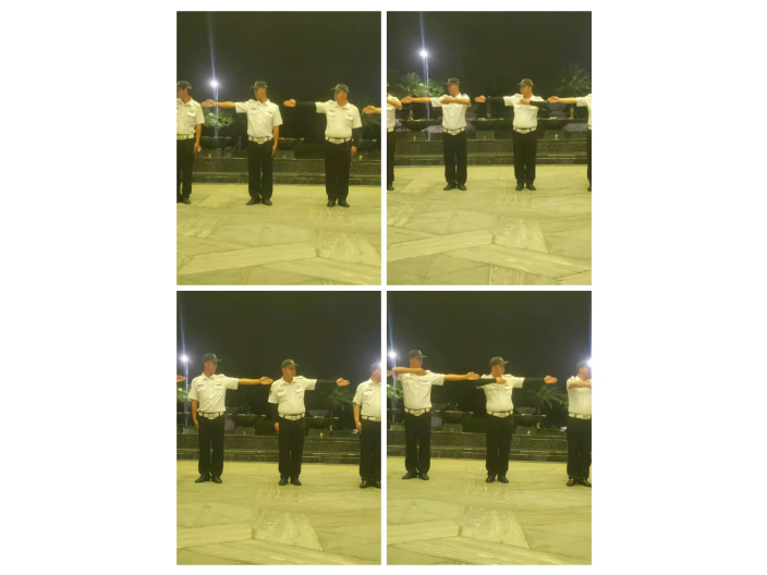 中山演唱會(huì)保安公司平臺(tái) 服務(wù)為先 廣東中興保安服務(wù)供應(yīng)