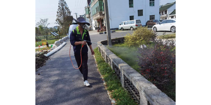 南湖区建筑除白蚁 真诚推荐 爱卫供