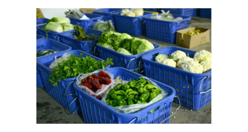 蔬菜农产品配送哪家便宜