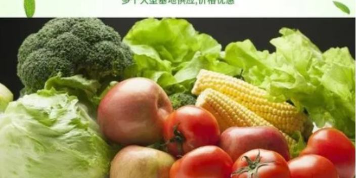 温州企业蔬菜配送费用
