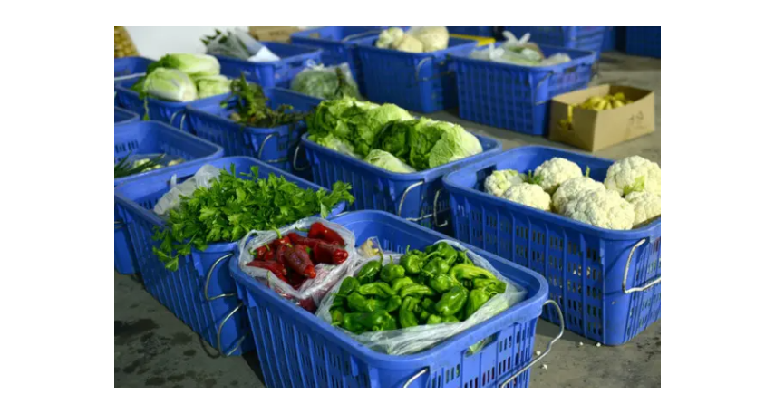 常州大型蔬菜配送标准