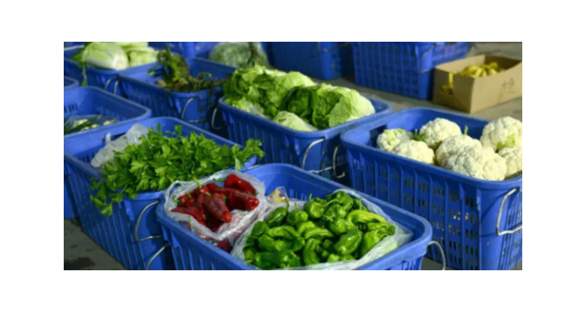 宁波同城蔬菜配送怎么收费