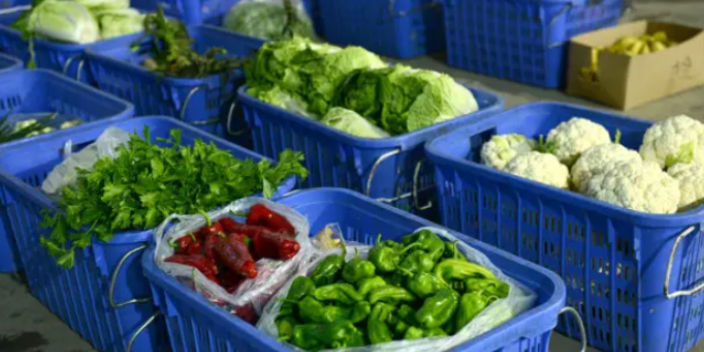 常州商超蔬菜配送哪家便宜,蔬菜配送