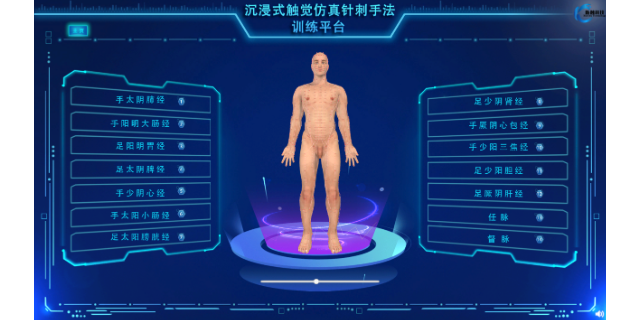 3D经络与腧穴系统企业