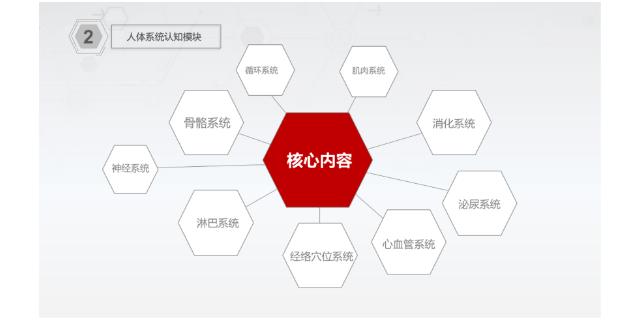 贵阳触控一体机虚拟数字人体解剖及腧穴教学系统