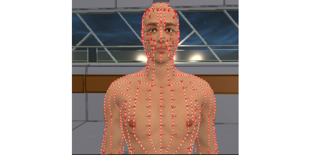 拉萨3D大屏虚拟数字人体解剖及腧穴教学系统