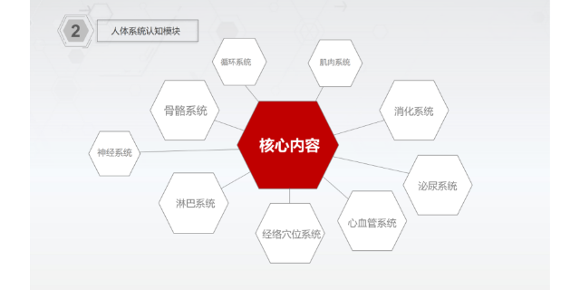 宁夏桌面级虚拟数字人体解剖及腧穴教学系统