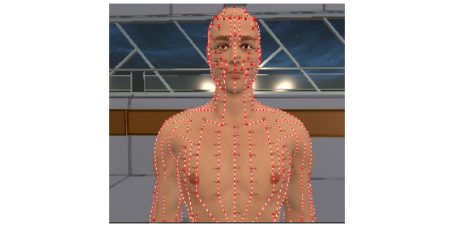 安徽真实虚拟数字人体解剖及腧穴教学系统