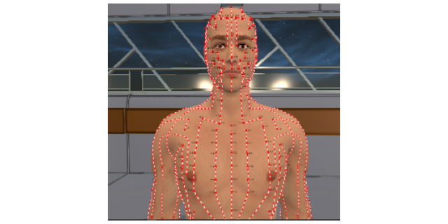 石家庄多平台虚拟数字人体解剖及腧穴教学系统