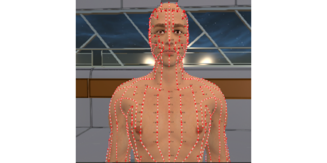 北京立体虚拟数字人体解剖及腧穴教学系统
