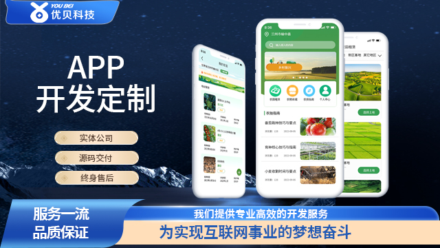 甘南商城app公司