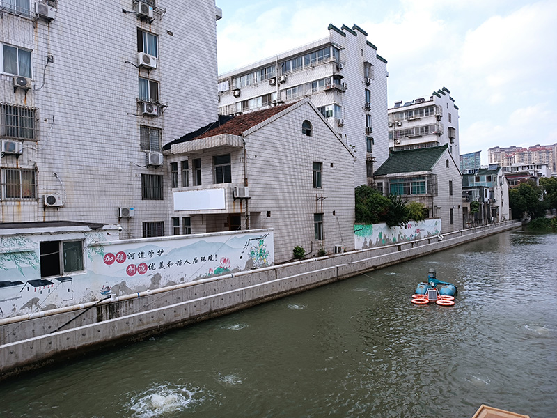 大成浜(百达桥)水质整治案例