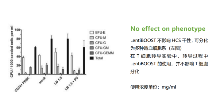 GMP级慢病毒转导滴度