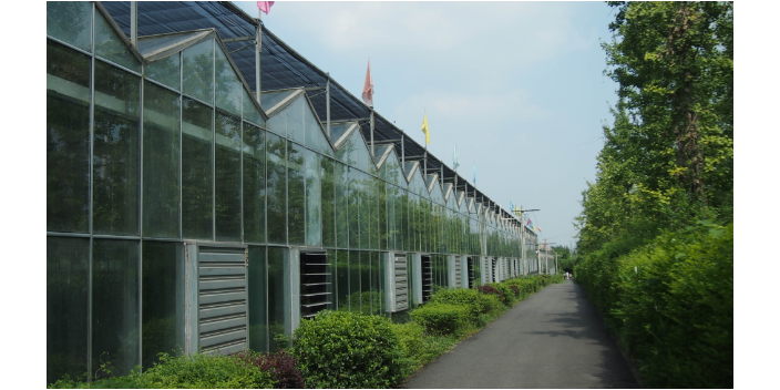 綿陽(yáng)PC板溫室大棚設(shè)計(jì) 客戶至上 綿陽(yáng)興隆科技供應(yīng)