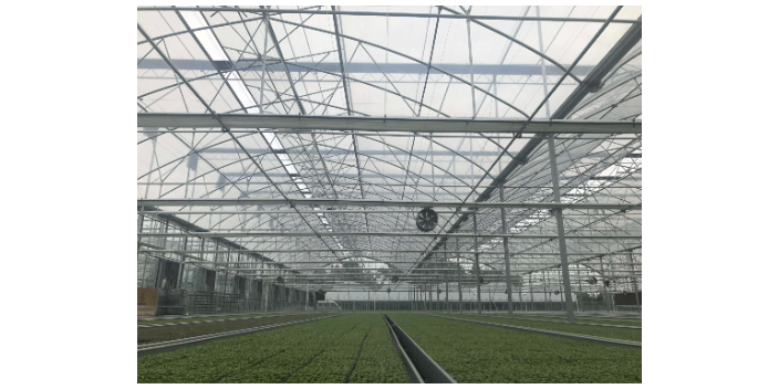 綿陽日光溫室大棚設(shè)計 無土栽培 綿陽興隆科技供應(yīng)