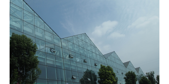 綿陽國產(chǎn)溫室大棚灌溉 蔬菜大棚   綿陽興隆科技供應(yīng)