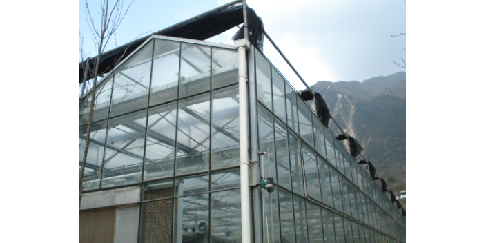 贵州园林种植温室大棚设计,温室大棚
