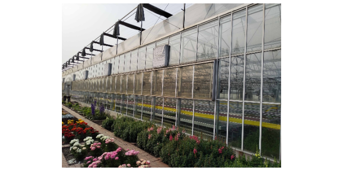 綿陽國產(chǎn)溫室大棚推薦廠家 無土栽培 綿陽興隆科技供應(yīng)