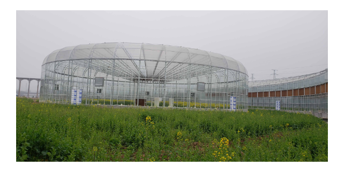 綿陽(yáng)高質(zhì)量溫室大棚 無(wú)土栽培 綿陽(yáng)興隆科技供應(yīng)