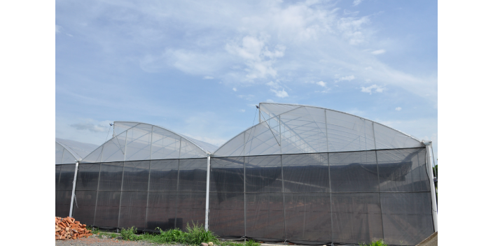 綿陽(yáng)高質(zhì)量溫室大棚項(xiàng)目 鑄造輝煌 綿陽(yáng)興隆科技供應(yīng)