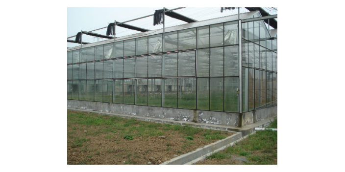自贡园林种植温室大棚灌溉,温室大棚