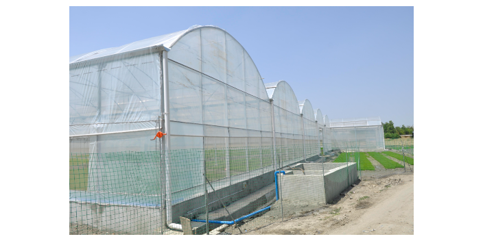 自贡高质量温室大棚灌溉