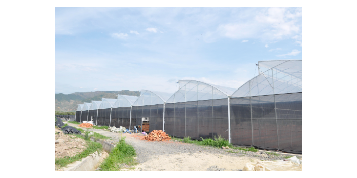 綿陽(yáng)國(guó)產(chǎn)溫室大棚大概費(fèi)用 值得信賴 綿陽(yáng)興隆科技供應(yīng)