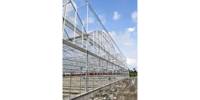 綿陽(yáng)國(guó)產(chǎn)溫室大棚生產(chǎn)廠家 蔬菜大棚 綿陽(yáng)興隆科技供應(yīng)