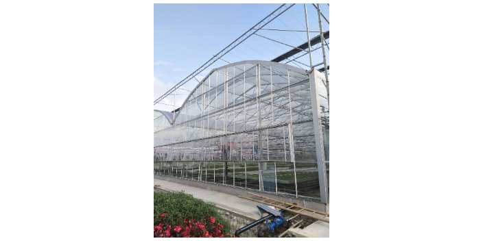 綿陽國產(chǎn)溫室大棚價(jià)格 蔬菜大棚 綿陽興隆科技供應(yīng)