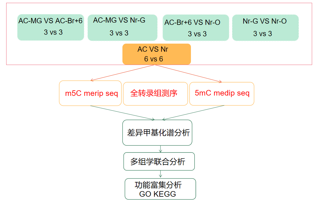 研究路线.png