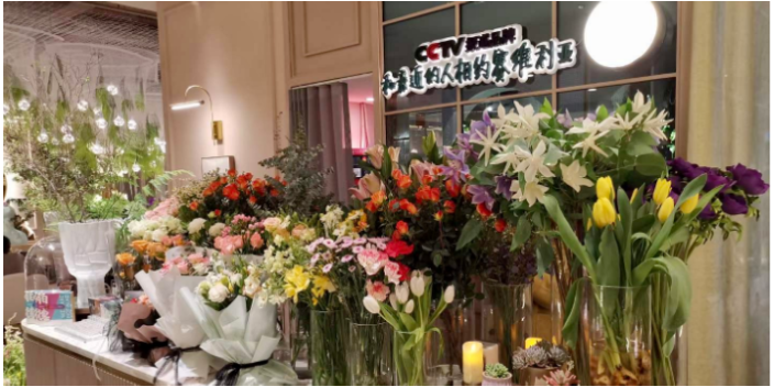 內蒙古企業餐飲品牌咨詢服務價格 歡迎來電 善志咨詢供應