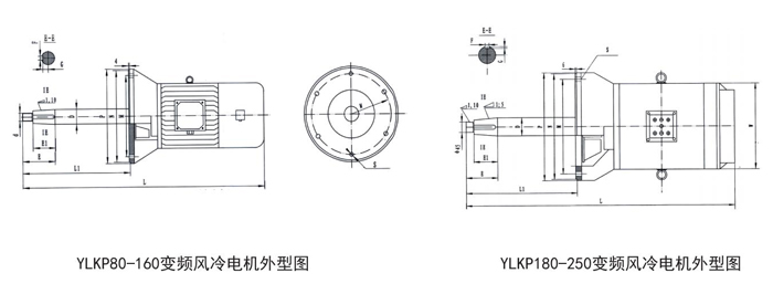 高溫爐用風(fēng)冷變頻電機