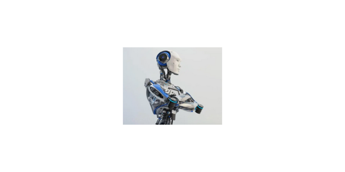 河北人工智能机器人厂家批发价,人工智能机器人