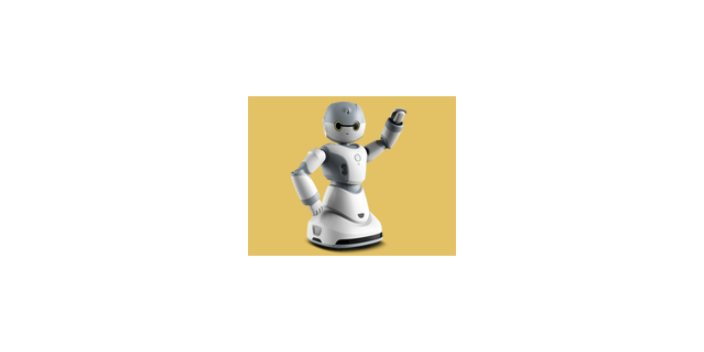 江苏人工智能机器人包括什么,人工智能机器人