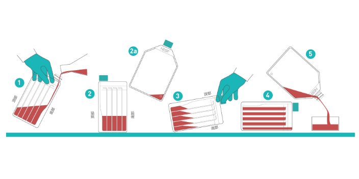 电子束灭菌NEST细胞培养瓶公司,NEST细胞培养瓶
