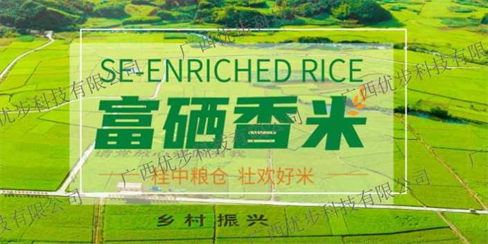 餐饮大米要多少钱 欢迎来电 广西优步科技供应