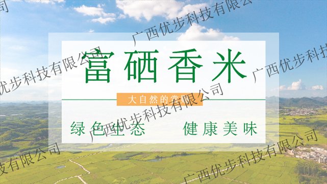 海南哪里卖螺蛳粉产地 欢迎来电 广西优步科技供应