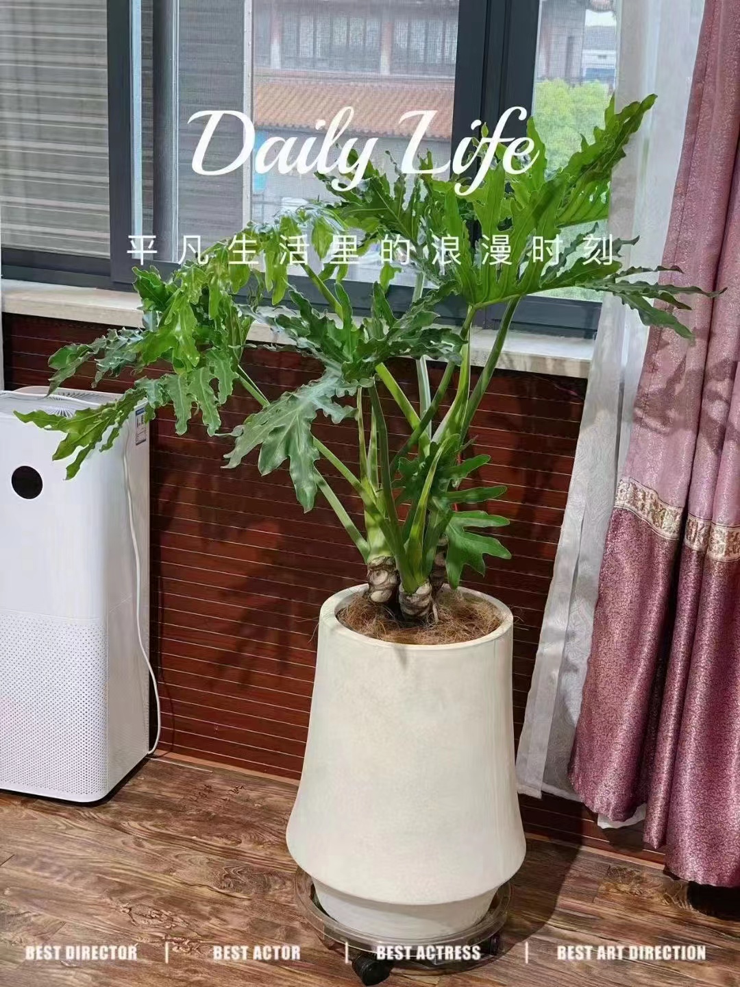 綠植租賃：打造綠色辦公，讓生活與工作共舞