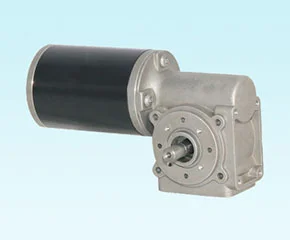 63mm High Torque Worm Gear Motor 63JW/63ZY105