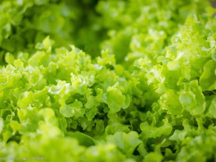 天津菜籽油綠色有機農業 服務為先 龍山縣綠爾康食品供應