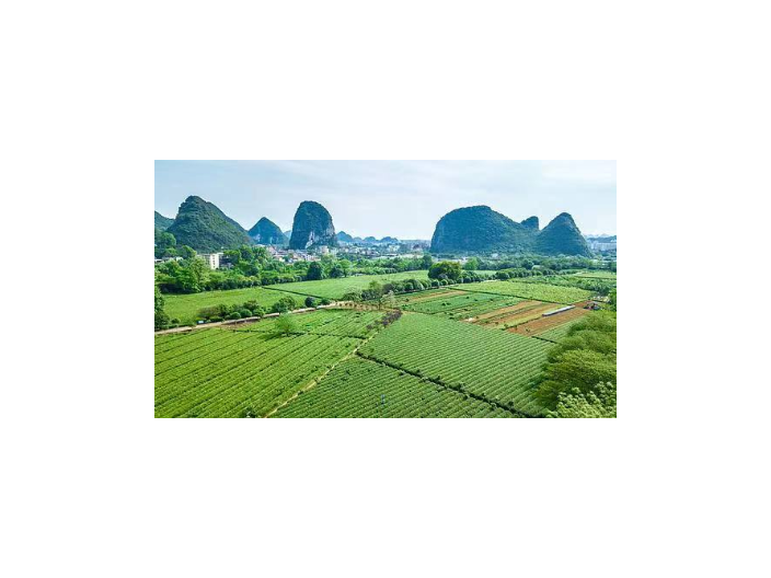 西藏跨境电商绿色有机农业在哪里 龙山县绿尔康食品供应