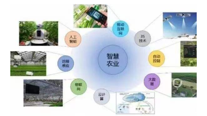武汉物联网生态智慧农业平台,生态智慧农业