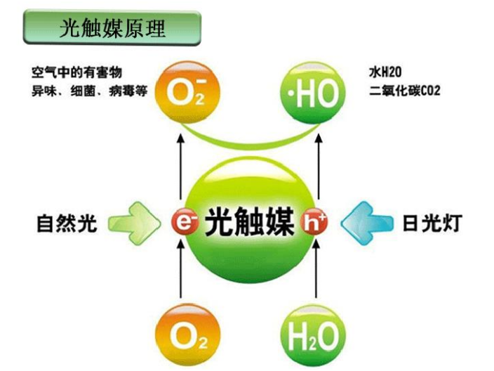南京汽車除味光觸媒 東莞市七米電子科技供應