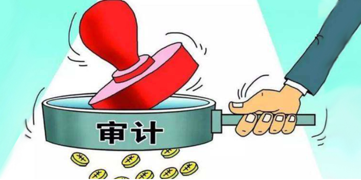 津南区出审计报告的公司比较好 中税正洁税务师事务所供应