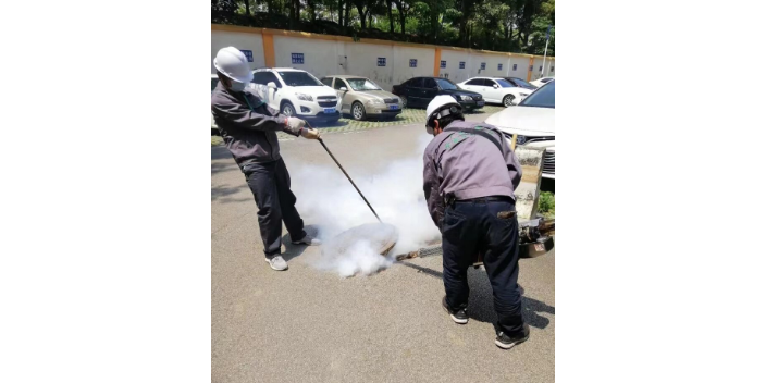 南甯商場白蟻防治特點