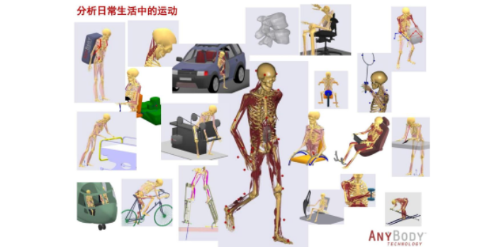 天津肌肉生物力學人體肌肉骨骼建模仿真系統技術指導