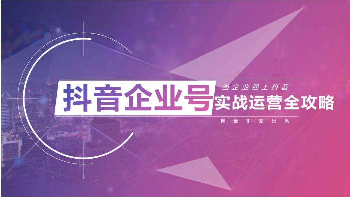 潍坊游戏抖音运营公司 诚信经营 山东金子网络科技供应